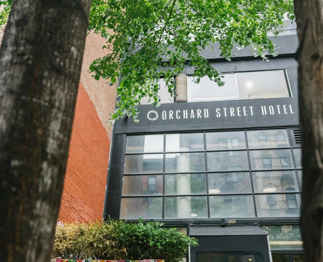 Orchard Street Hotel New York 3*,  United States